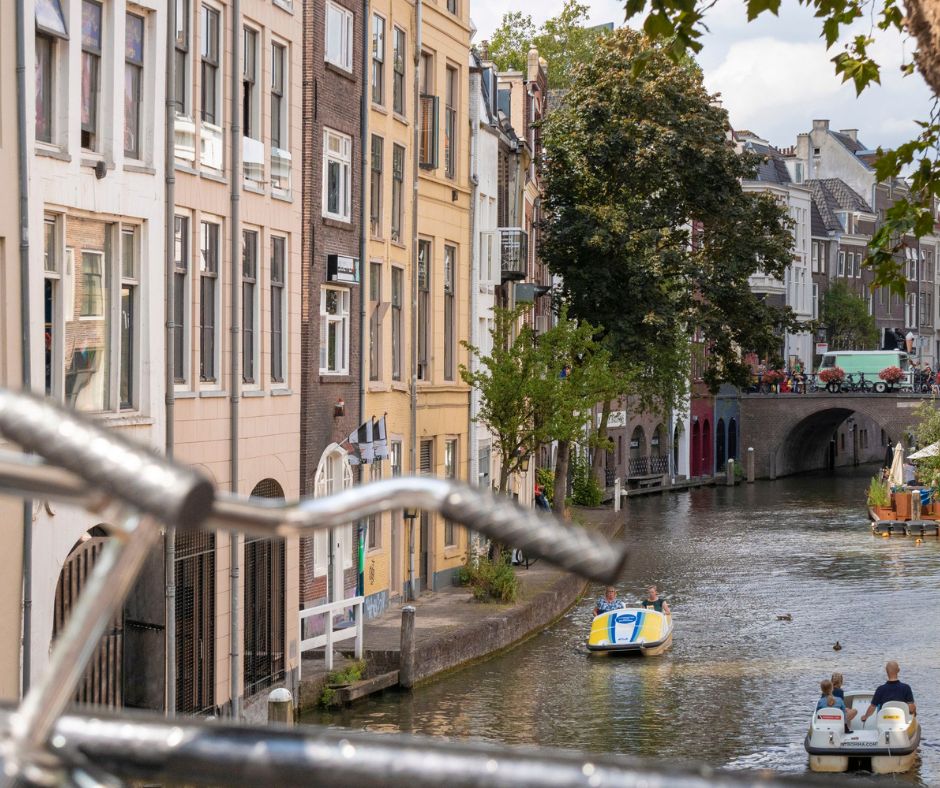 Local market knowledge